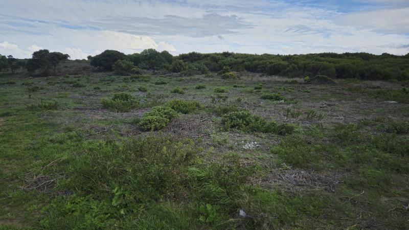 0 Bedroom Property for Sale in Kleinbaai Western Cape